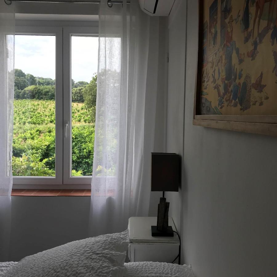 Chambres D'Hotes Et Gites Le Mas Mellou Orange  Exterior foto